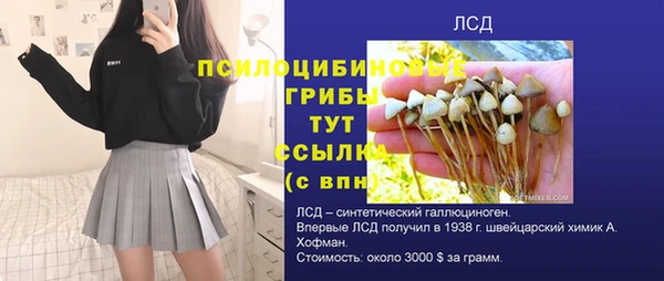дживик Сафоново