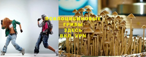 круглые Семёнов