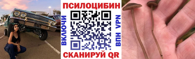 Псилоцибиновые грибы MAGIC MUSHROOMS  Чегем 